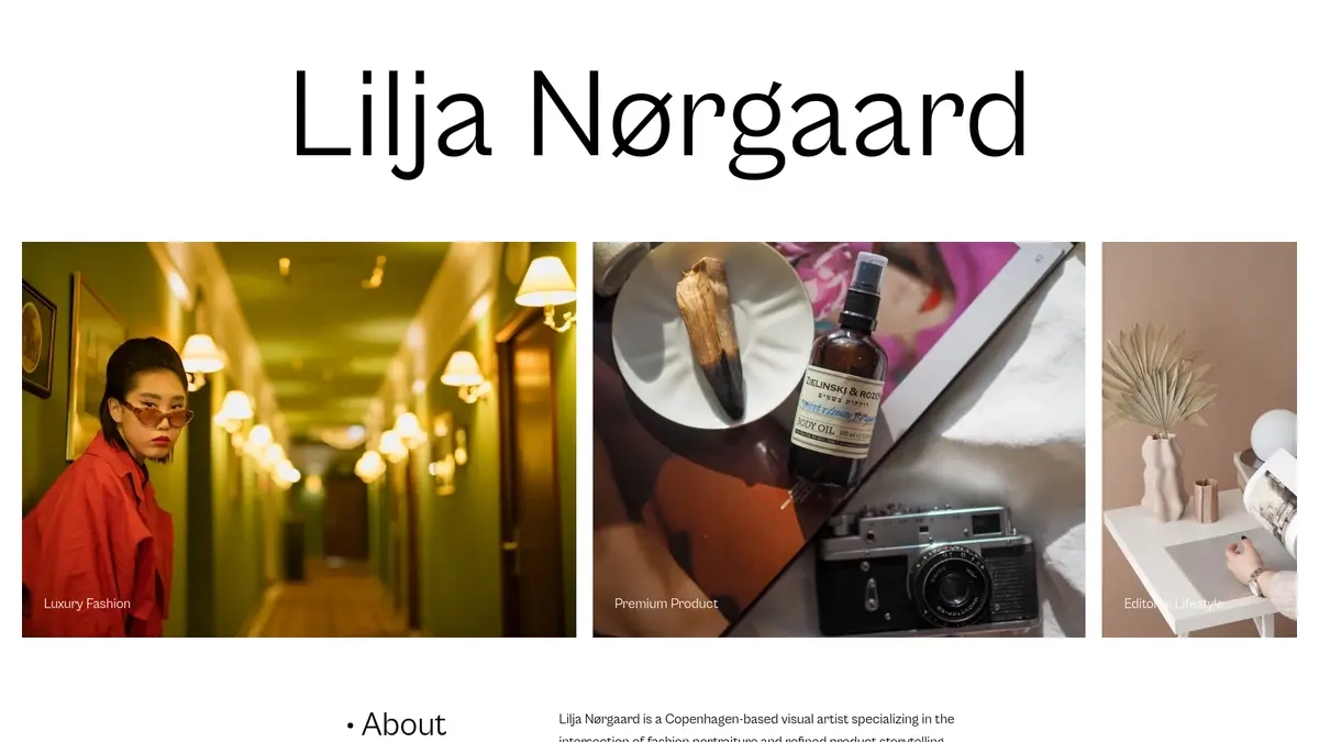 Loading preview of Contemporary Photographer