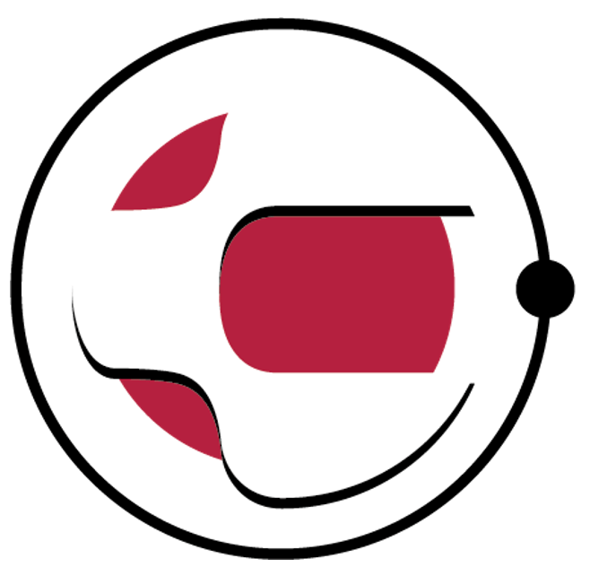 Consid logo