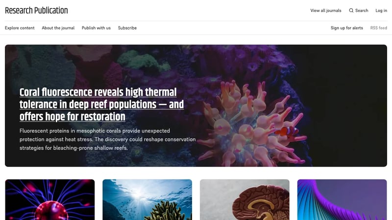 KnowFoundry